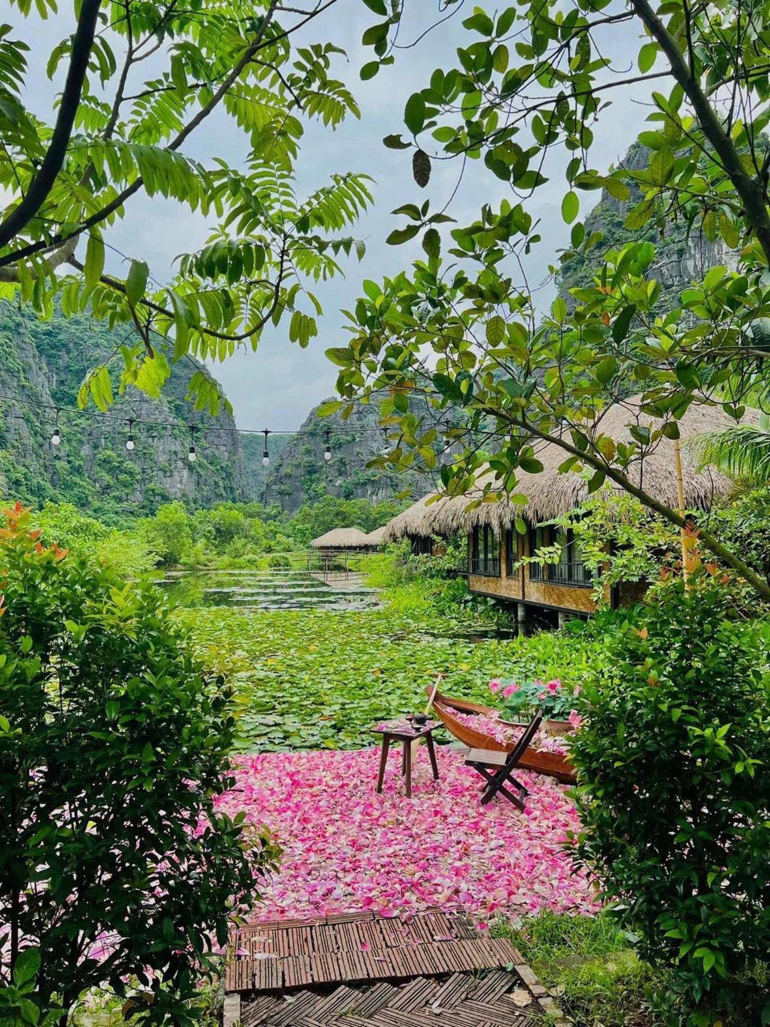 Halise Home And Retreat Ninh Binh Buitenkant foto