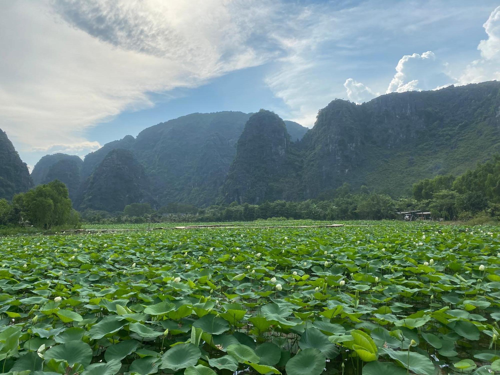 Halise Home And Retreat Ninh Binh Buitenkant foto